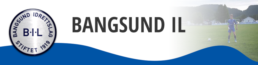 Bangsund IL